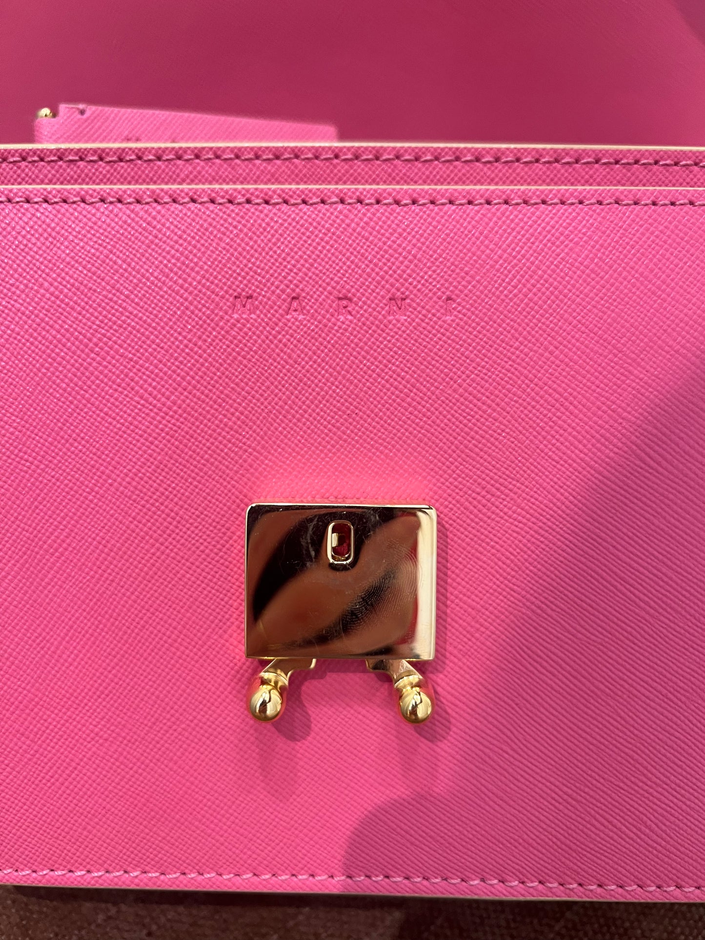 Marni Trunk Leather Crossbody Pink Bag
